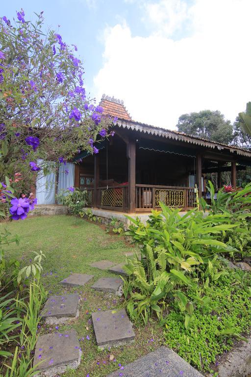 Jadul Village Resort Lembang Eksteriør bilde
